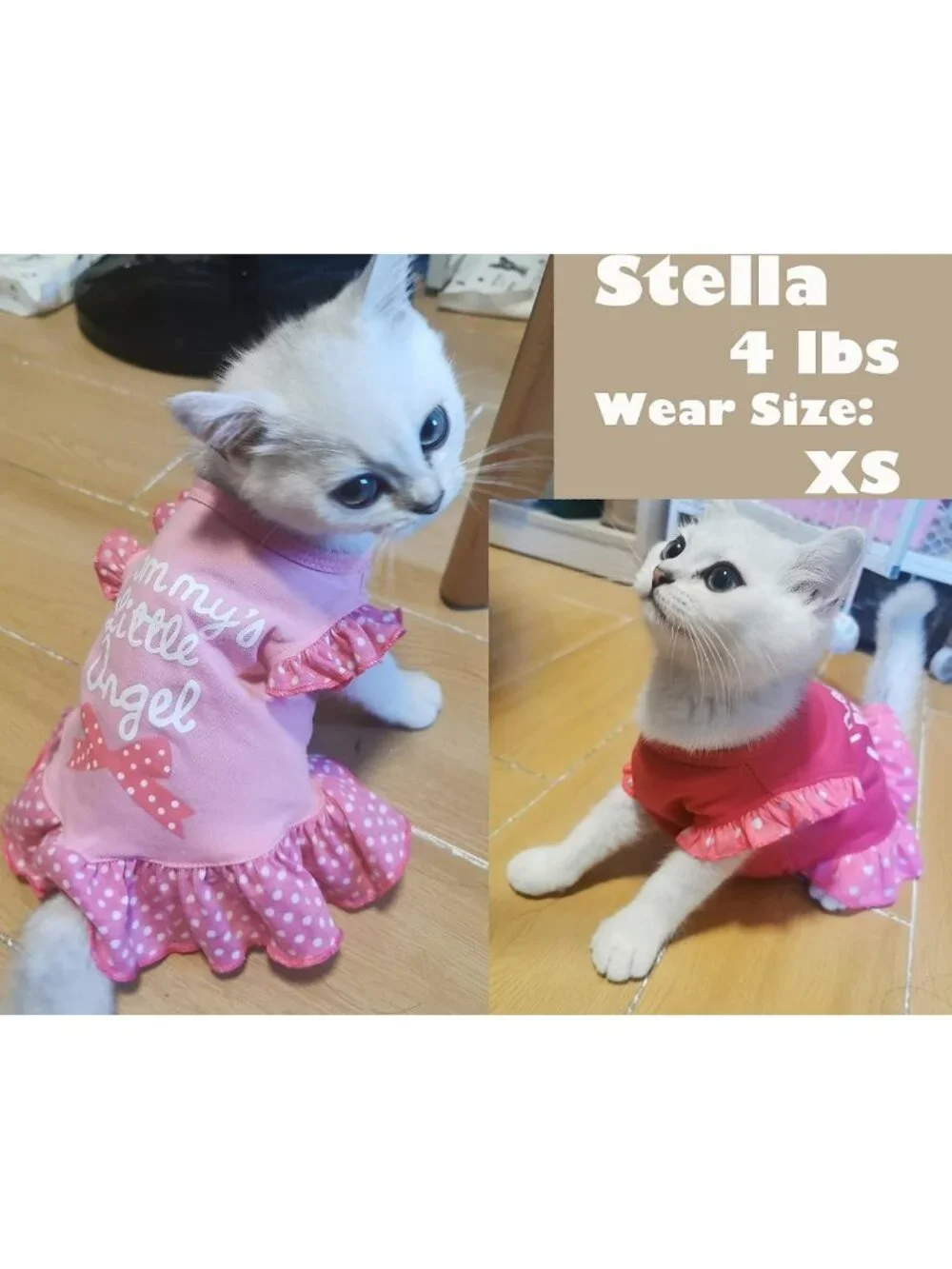 Cute Summer Dog Dress Set - 4 Pieces Pet Apparel for Small Dogs & Cats, X-Small